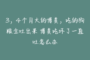 3，4个月大的博美，吃的狗粮全吐出来 博美吃坏了一直吐怎么办