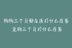 狗狗三个月都应该打什么疫苗 宠物三个月打什么疫苗