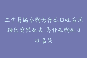 三个月的小狗为什么口吐白沫抽出突然死去 为什么狗死了吐舌头