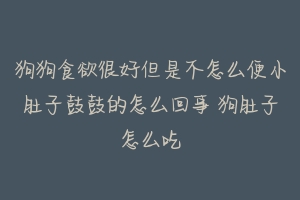 狗狗食欲很好但是不怎么便小肚子鼓鼓的怎么回事 狗肚子怎么吃