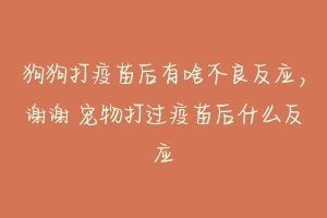 狗狗打疫苗后有啥不良反应，谢谢 宠物打过疫苗后什么反应