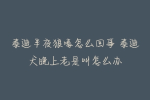 泰迪半夜狼嚎怎么回事 泰迪犬晚上老是叫怎么办