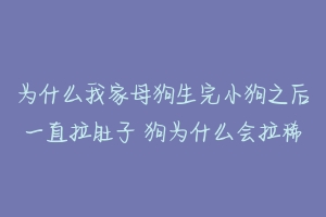 为什么我家母狗生完小狗之后一直拉肚子 狗为什么会拉稀