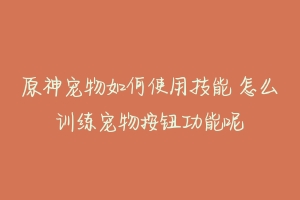 原神宠物如何使用技能 怎么训练宠物按钮功能呢