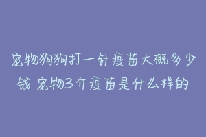 宠物狗狗打一针疫苗大概多少钱 宠物3介疫苗是什么样的