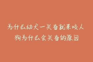 为什么幼犬一兴奋就来咬人 狗为什么会兴奋的原因