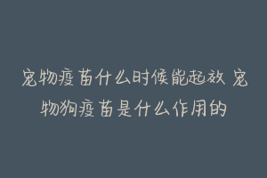 宠物疫苗什么时候能起效 宠物狗疫苗是什么作用的