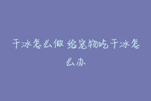 干冰怎么做 给宠物吃干冰怎么办