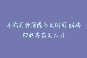 小狗打针间隔多长时间 辉瑞四联疫苗怎么打