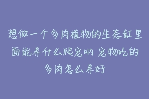 想做一个多肉植物的生态缸里面能养什么爬宠呐 宠物吃的多肉怎么养好