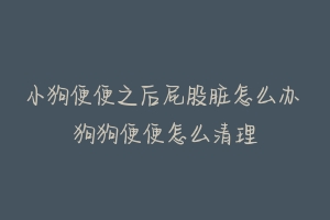 小狗便便之后屁股脏怎么办 狗狗便便怎么清理