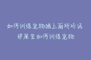 如何训练宠物猪上厕所听话 铲屎官如何训练宠物