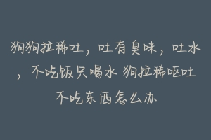 狗狗拉稀吐，吐有臭味，吐水，不吃饭只喝水 狗拉稀呕吐不吃东西怎么办