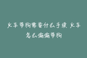 火车带狗需要什么手续 火车怎么偷偷带狗