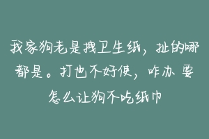 我家狗老是拽卫生纸，扯的哪都是。打也不好使，咋办 要怎么让狗不吃纸巾