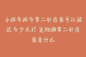 小拉布拉多第二针疫苗可以延迟多少天打 宠物猫第二针疫苗是什么