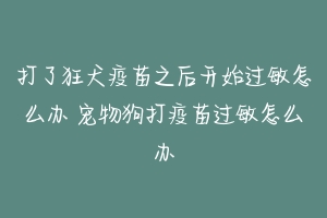 打了狂犬疫苗之后开始过敏怎么办 宠物狗打疫苗过敏怎么办