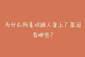 为什么狗喜欢睡人身上？原因有哪些？