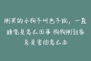 刚买的小狗不叫也不跑，一直睡觉是怎么回事 狗狗刚到家总是害怕怎么办