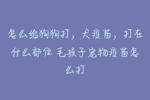 怎么给狗狗打，犬疫苗，打在什么部位 毛孩子宠物疫苗怎么打