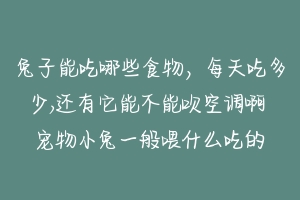 兔子能吃哪些食物，每天吃多少,还有它能不能吹空调啊 宠物小兔一般喂什么吃的