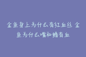 金鱼身上为什么有红血丝 金鱼为什么嘴和鳍有血