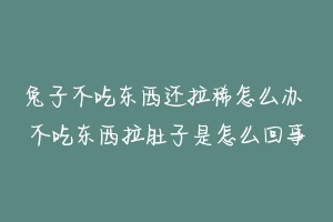 兔子不吃东西还拉稀怎么办 不吃东西拉肚子是怎么回事