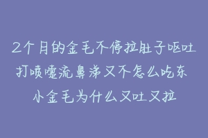 2个月的金毛不停拉肚子呕吐打喷嚏流鼻涕又不怎么吃东 小金毛为什么又吐又拉