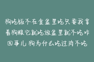 狗吃饭不在食盆里吃只要我拿着狗粮它就吃放盆里就不吃咋回事儿 狗为什么吃过肉不吃狗粮