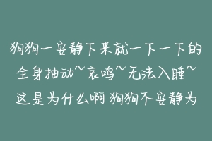 狗狗一安静下来就一下一下的全身抽动~哀鸣~无法入睡~这是为什么啊 狗狗不安静为什么