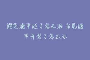 鳄龟腹甲烂了怎么治 乌龟腹甲开裂了怎么办