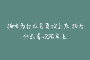 猫咪为什么总喜欢上床 猫为什么喜欢爬床上