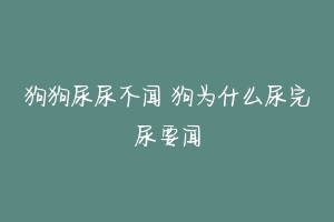 狗狗尿尿不闻 狗为什么尿完尿要闻