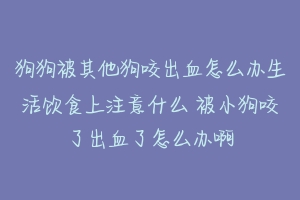 狗狗被其他狗咬出血怎么办生活饮食上注意什么 被小狗咬了出血了怎么办啊