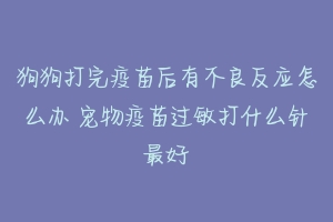 狗狗打完疫苗后有不良反应怎么办 宠物疫苗过敏打什么针最好