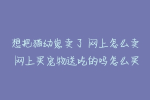 想把猫幼崽卖了 网上怎么卖 网上买宠物送吃的吗怎么买