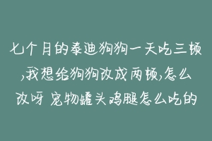 七个月的泰迪狗狗一天吃三顿,我想给狗狗改成两顿,怎么改呀 宠物罐头鸡腿怎么吃的