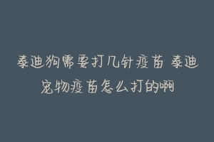 泰迪狗需要打几针疫苗 泰迪宠物疫苗怎么打的啊