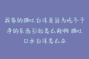 我家的猫吐白沫是因为吃不干净的东西引起怎么救啊 猫吐口水白沫怎么办