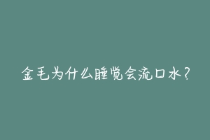 金毛为什么睡觉会流口水？