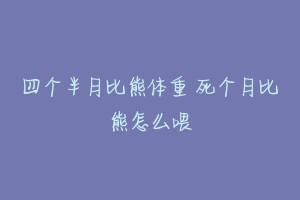 四个半月比熊体重 死个月比熊怎么喂