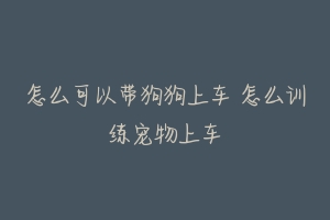 怎么可以带狗狗上车 怎么训练宠物上车