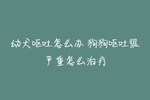 幼犬呕吐怎么办 狗狗呕吐很严重怎么治疗