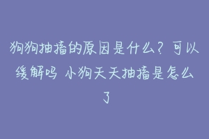 狗狗抽搐的原因是什么？可以缓解吗 小狗天天抽搐是怎么了