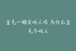 金毛一般会咬人吗 为什么金毛不咬人