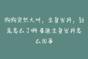 狗狗突然大叫，全身发抖，到底怎么了啊 泰迪全身发抖怎么回事