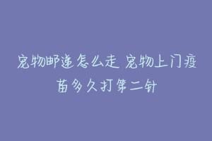 宠物邮递怎么走 宠物上门疫苗多久打第二针