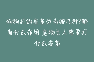 狗狗打的疫苗分为哪几种?都有什么作用 宠物主人需要打什么疫苗