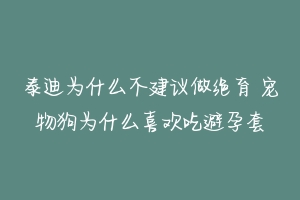 泰迪为什么不建议做绝育 宠物狗为什么喜欢吃避孕套