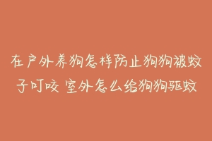 在户外养狗怎样防止狗狗被蚊子叮咬 室外怎么给狗狗驱蚊